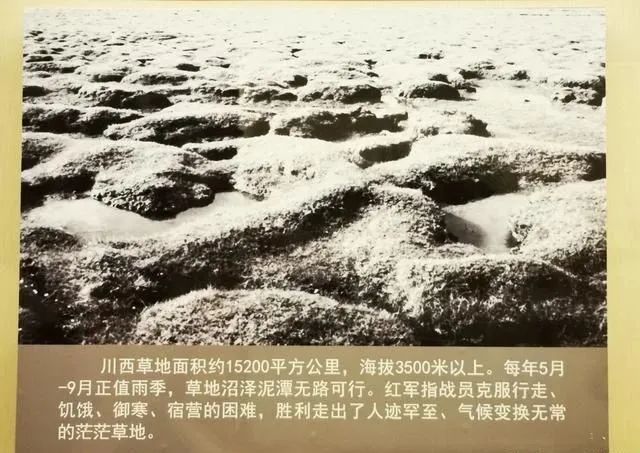 【建黨100周年】長(zhǎng)征——偉大壯舉,不朽豐碑!(圖33)
