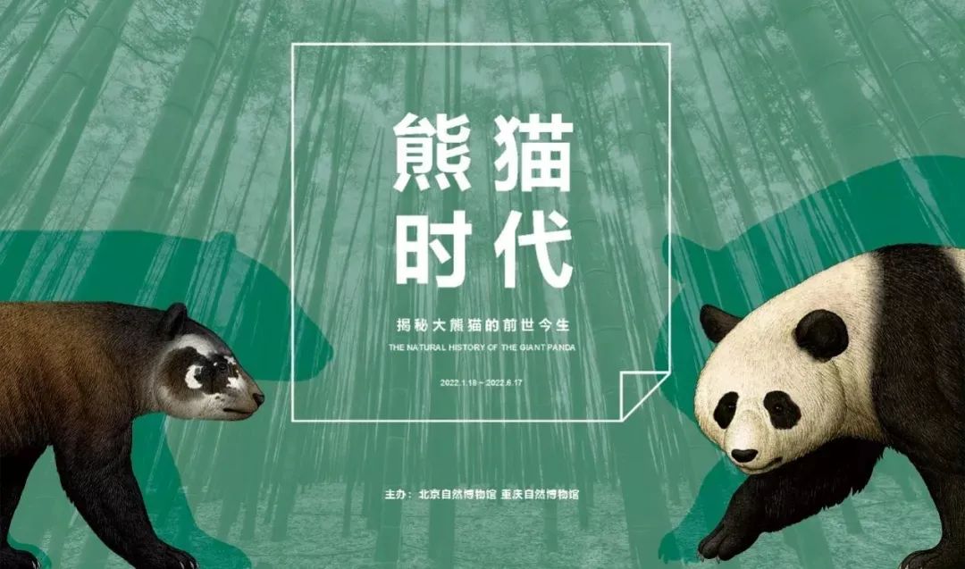 3月北京展訊丨最是一年春好處，最高人氣藝術(shù)大展等你去打卡...(圖10)